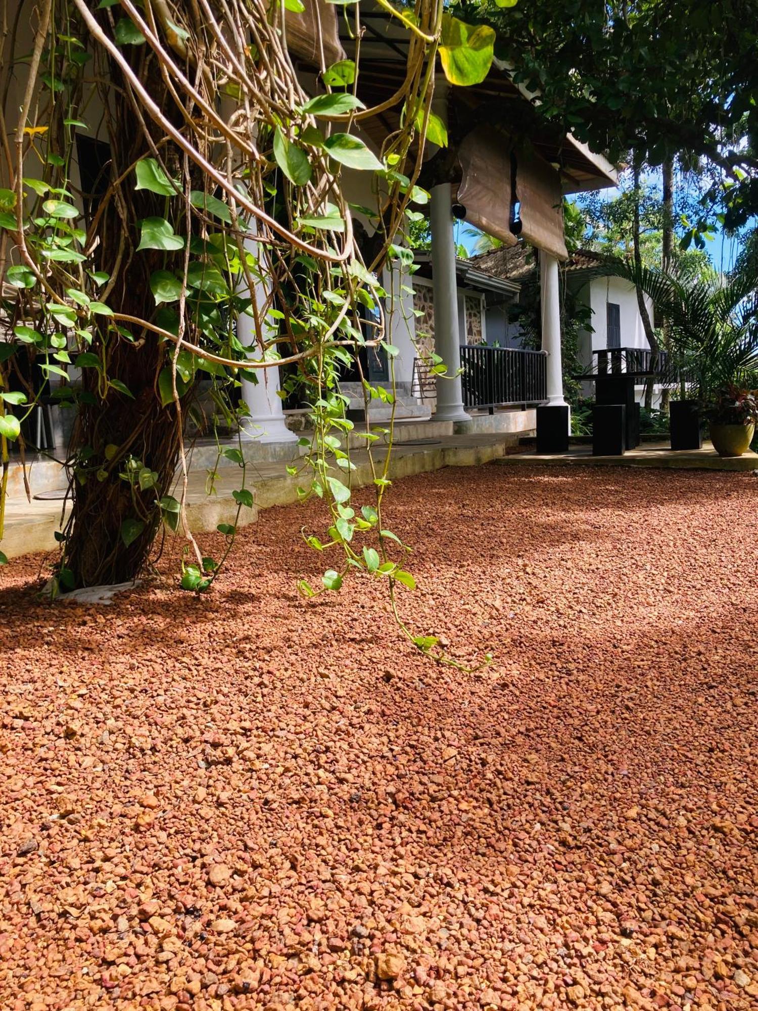 Wija House - Unawatuna Kültér fotó